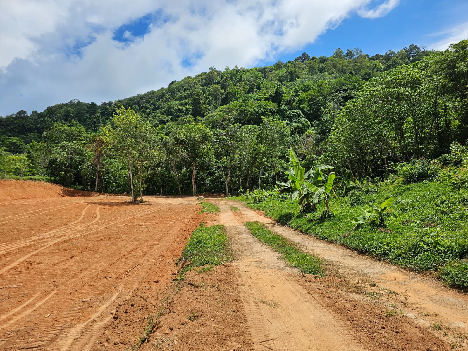 Unique eco viva 10